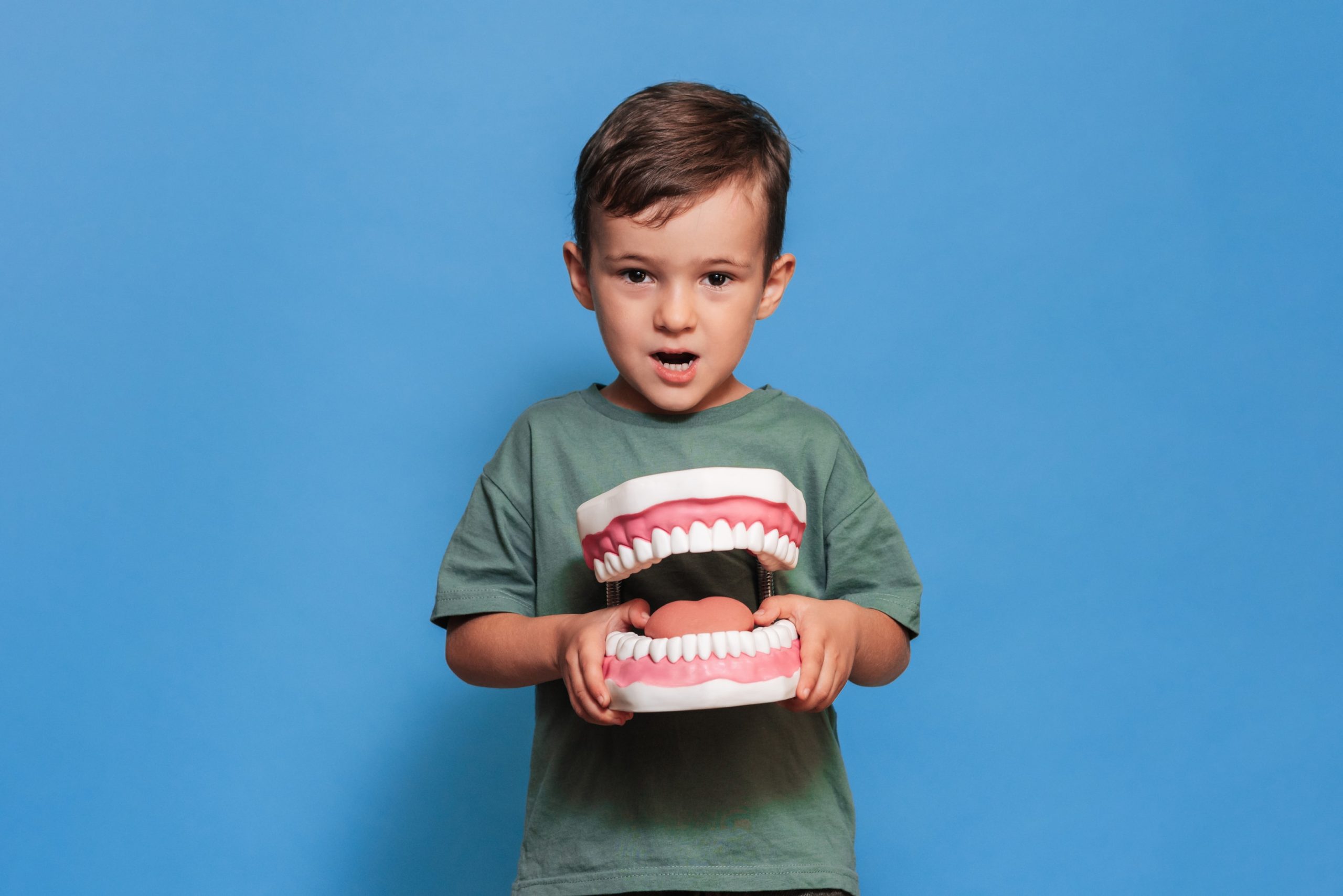 A child holding a large dental model