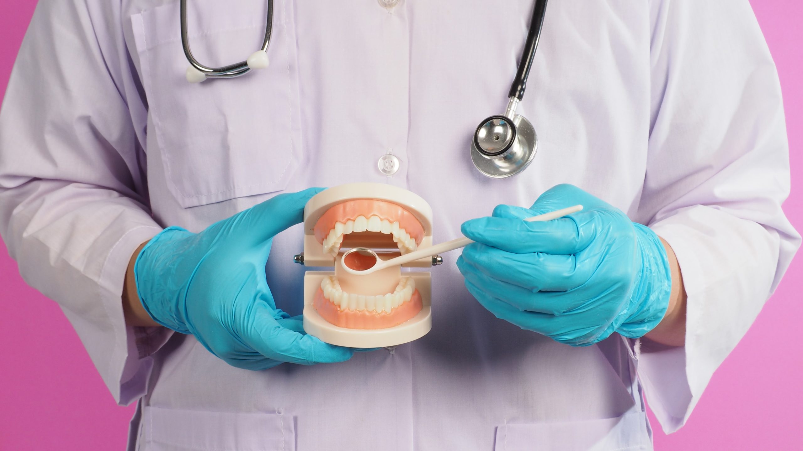 dentist holding dental model