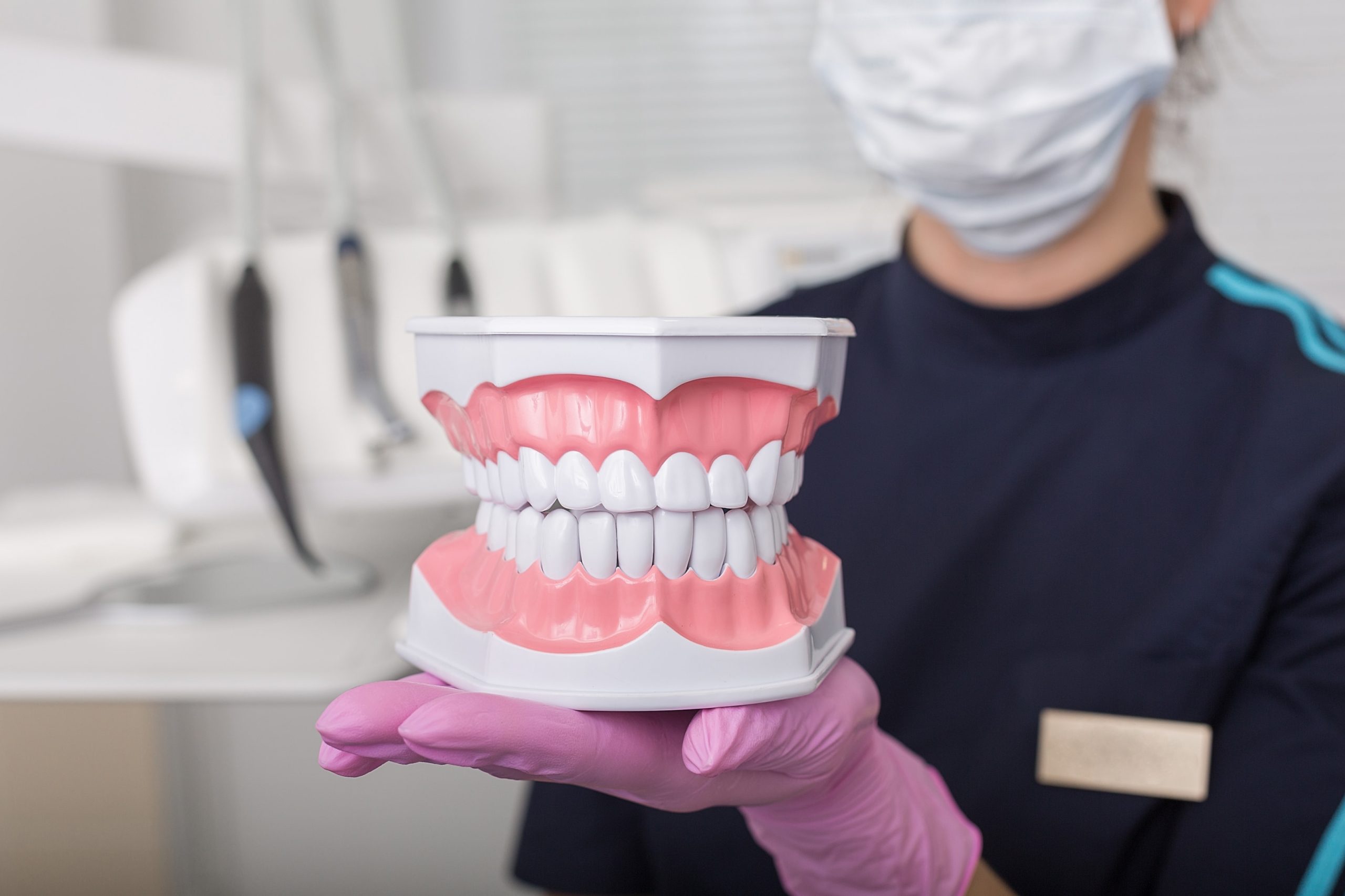 Dental model showing a correct smile